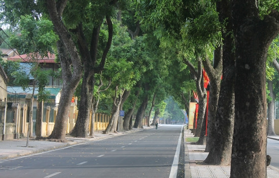 河内黄妙街初秋的早晨。（图片来源：越南人民军队报）