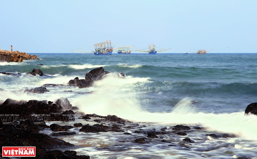 广治省松门海滩的原始生态之美。图自越通社/越南画报