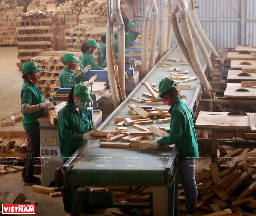 广治省服务出口的木材加工业。图自越通社/越南画报