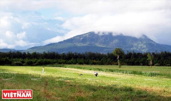 辽阔碧绿的草原给游客带来安静祥和的感觉（图片来源：越通社）