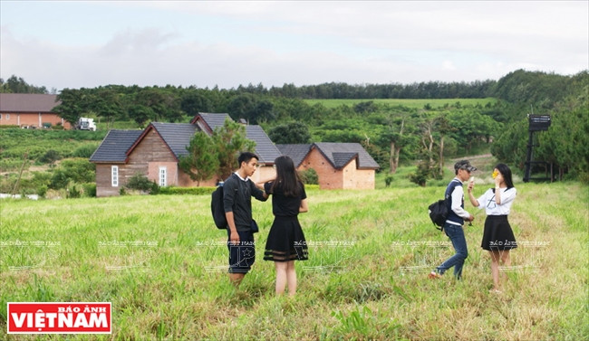 大叻庄园是吸引众多游客的新景点（图片来源：越通社）