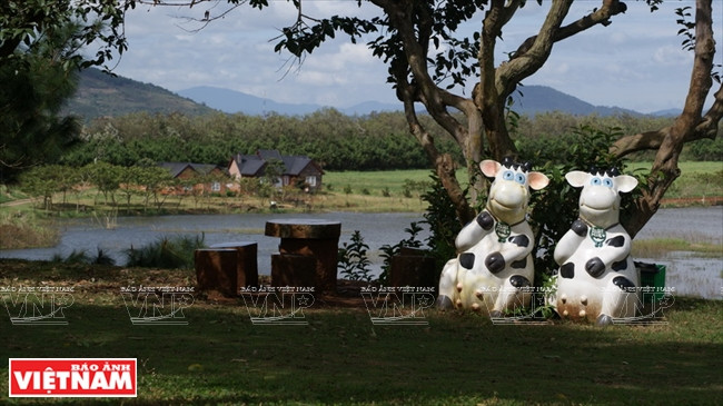 一对可爱的吉祥奶牛（图片来源：越通社）