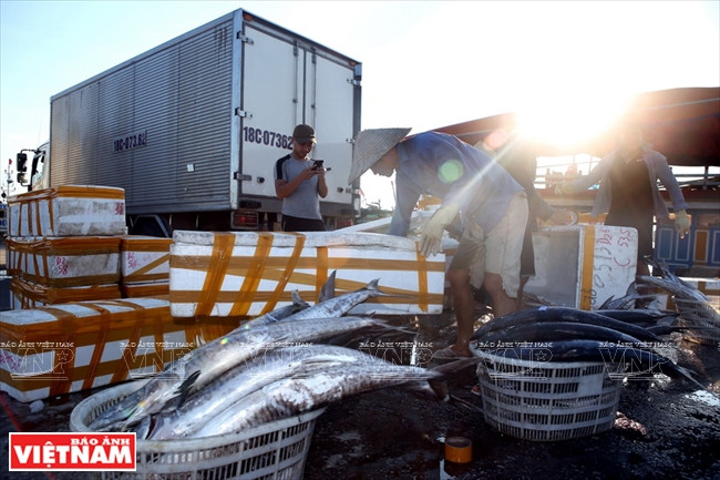 捕捞作业是海后县渔民的优势。