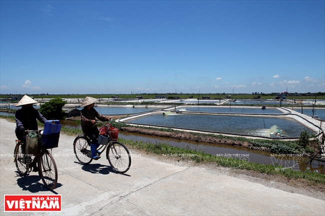 海福乡水产养殖区。