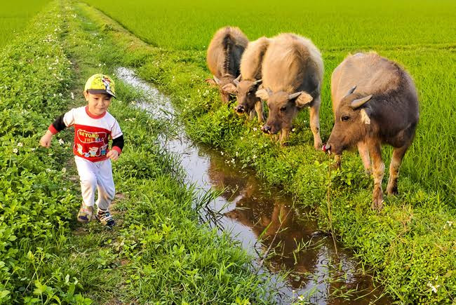 童年记忆。（图片来源：人民报）