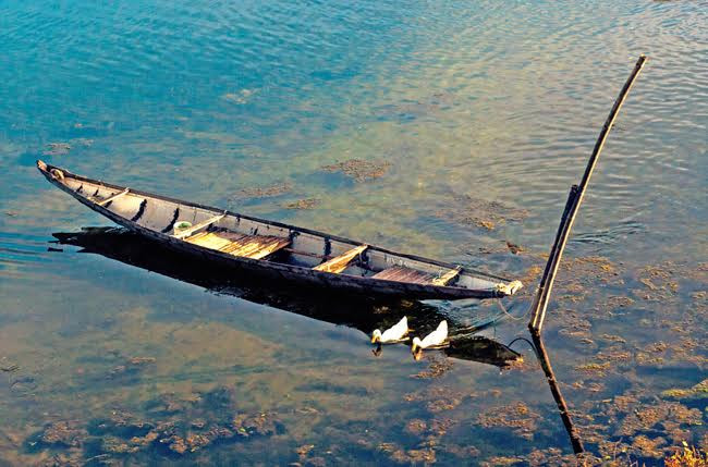 幸福之港。（图片来源：人民报）