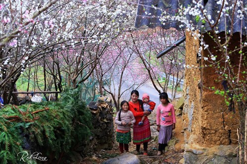 这里被誉为“人间桃花源”（图片来源：人民军队报）