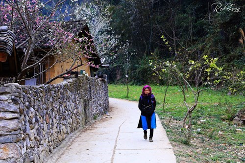十分平易的山区美景（图片来源：人民军队报）