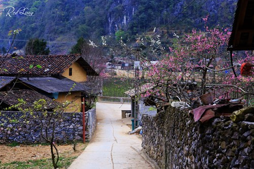 美丽的风景留住游客的脚步（图片来源：人民军队报）