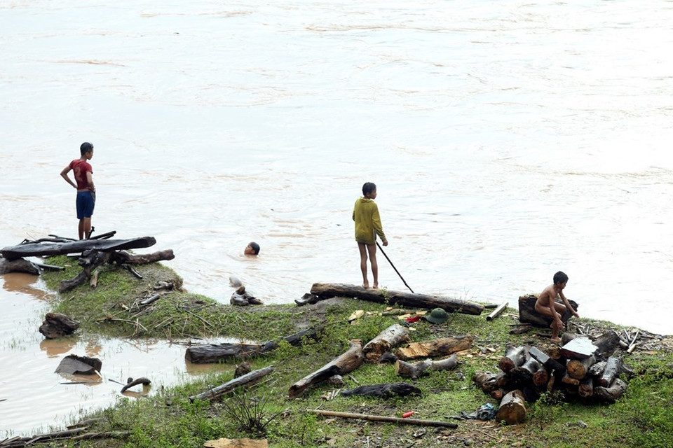 等待水中漂浮的木柴。 越通社记者 潘俊英 摄