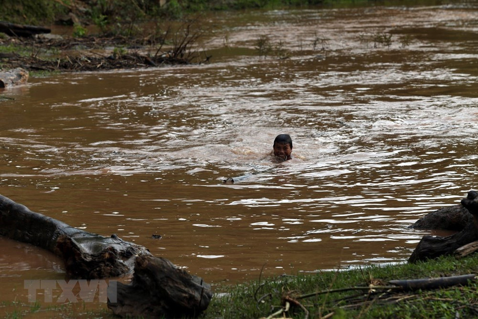 芒擦县芒莫乡儿童在洪水中争捞从大渡河上游冲下来的木柴。 越通社记者 潘俊英 摄