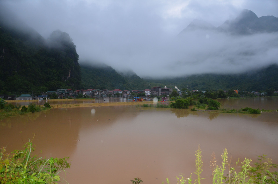 高平省也遭受暴雨洪水袭击。据统计，该省受影响的农用面积25公顷，91头家畜和18775只家禽被死亡，受损的水产养殖面积为8.35公顷。 越通社记者 周校 摄