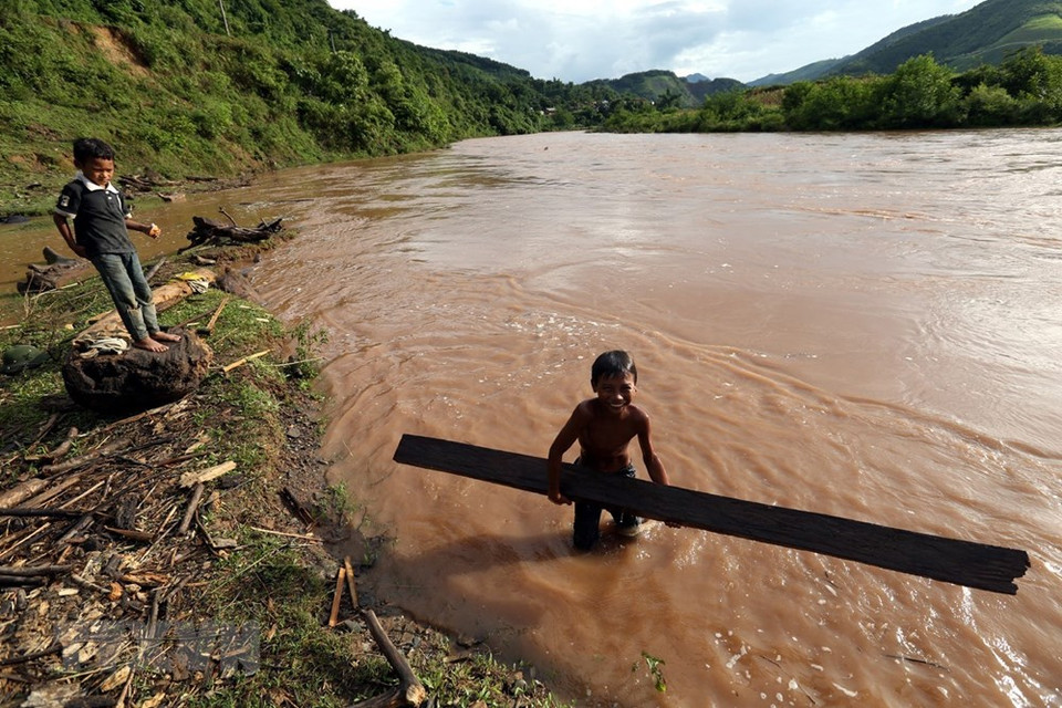 这些在洪水中赌上性命打捞木柴的孩子。 越通社记者 潘俊英 摄