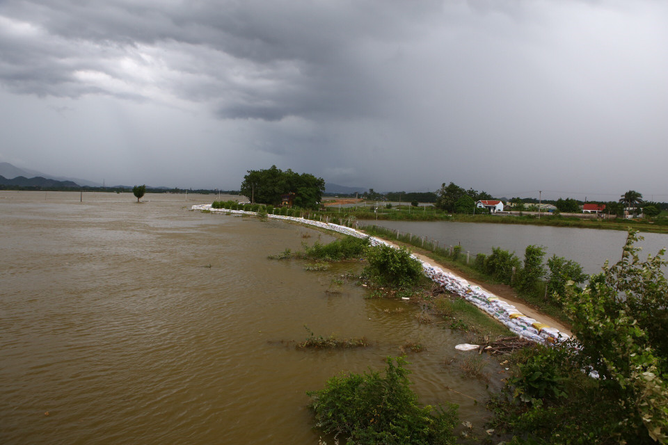 河内市彰美县裴江堤防段有着堤防溃决的风险 图自越通社