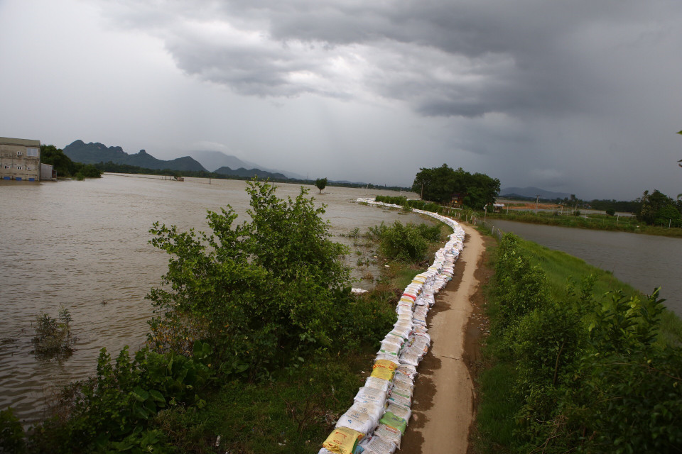 河内市彰美县裴江堤防段有着堤防溃决的风险 图自越通社