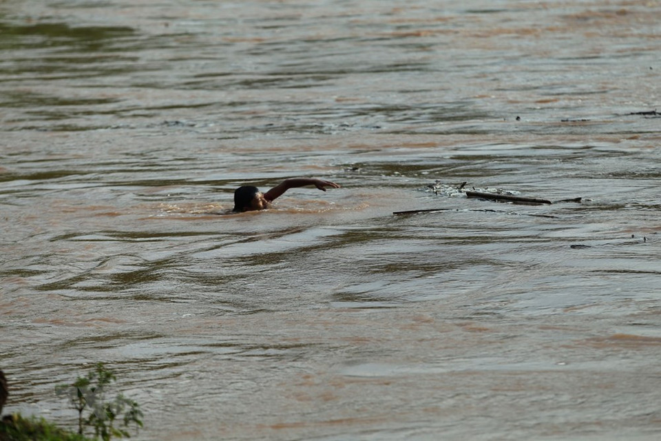 儿童们在洪水中冒着生命危险收集木柴。 越通社记者 潘俊英 摄