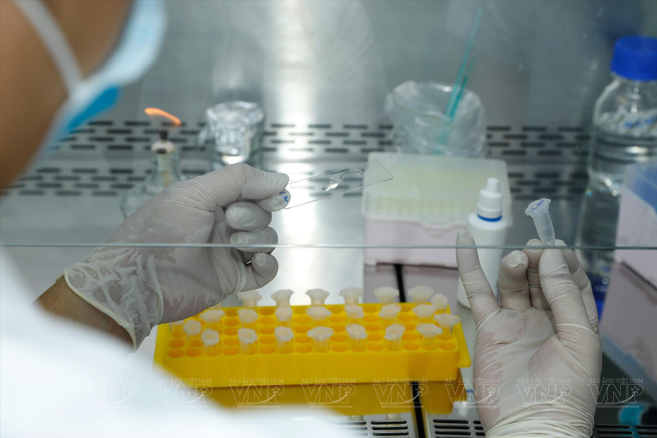 此外，该中心还注重培训高素质的人力队伍。图自越南画报