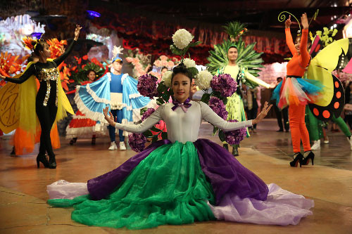 梅花和桃花绽放送来春节浓厚的气息（图片来源：vnexpress.net）