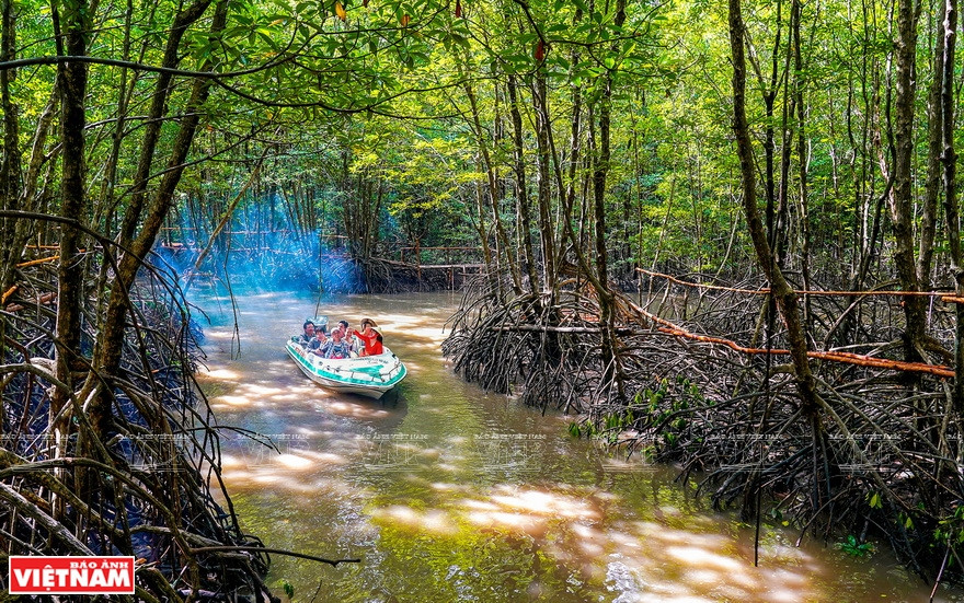 游客践行滨海湿地生态系统的体验式旅游活动。图自越南画报