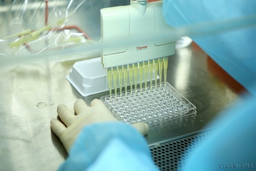 越南中央卫生与流行病学研究所流感病毒实验室女性科学家分离出新型冠状病毒毒株。图自越通社