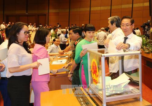  国会代表参加投票选举第十四届国会主席和副主席职务。