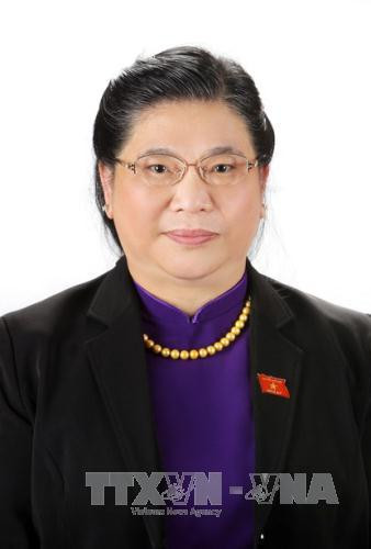 越共中央政治局委员、第十四届国会常务副主席丛氏放。