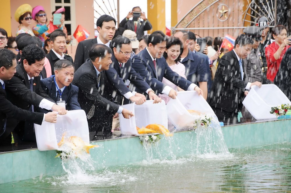  越泰两国高级代表在纪念区内的莲花池释放79条金鱼，象征胡伯伯的岁数。（图片来源：Vietnam+）