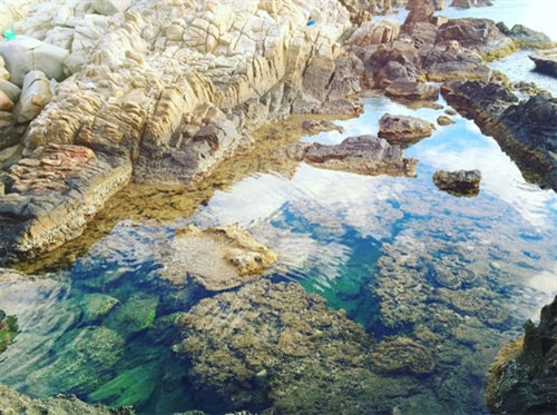 爬到巉峻的悬崖上，你将看到具有奇特形状的巨型石头（图片来源：vnexpress.net）