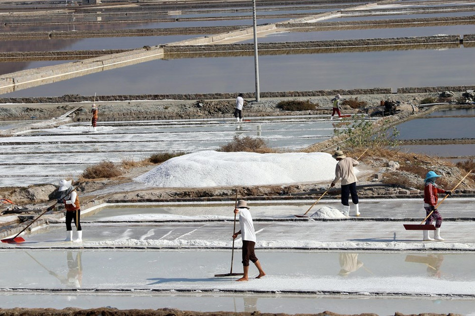 宁海县的农民收获盐。 越通社记者 公署 摄