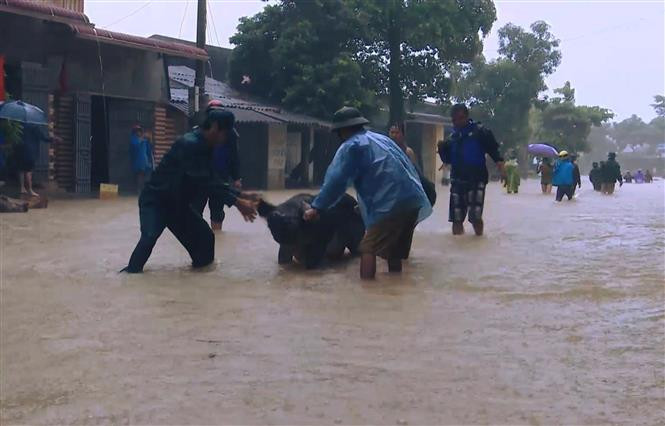 清化省军事指挥部战士们帮助民众把财产转移到安全的地方。（图片来源：越通社）