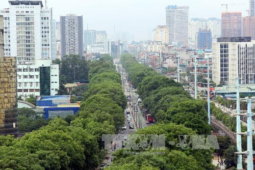 范文同街道。（图片来源：越通社）