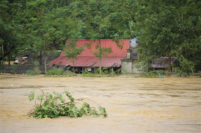 富寿省三农县诸多房屋被淹没。（图片来源：越通社）