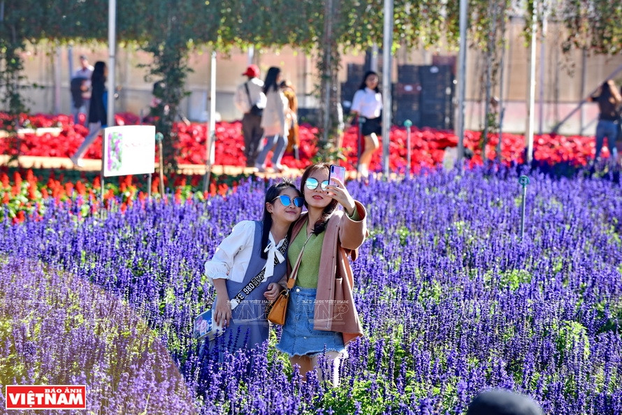 游客参观万成花村。越通社记者 清和 摄