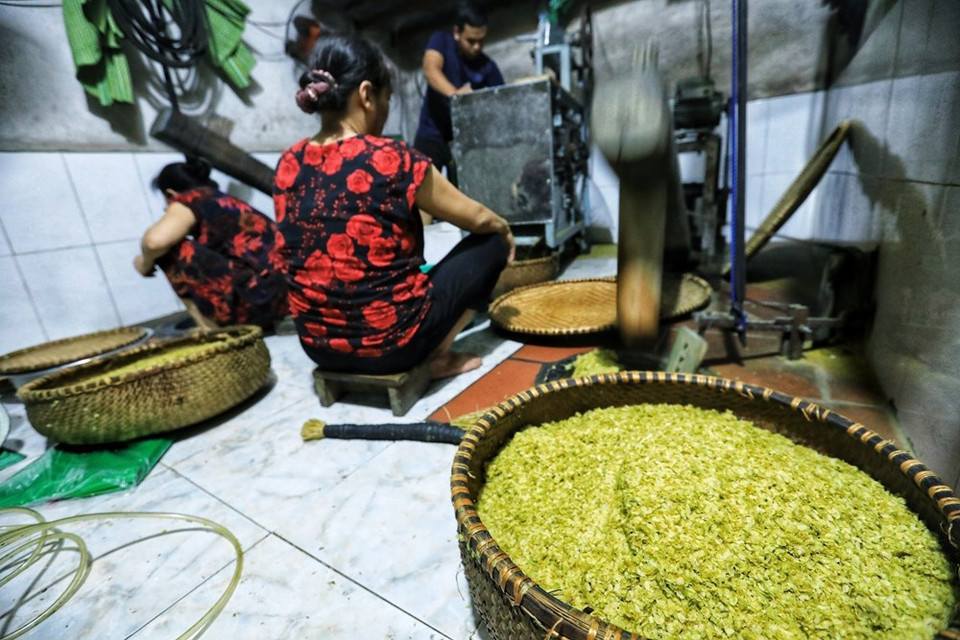 扁糯生产业十分辛苦，需要扁糯生产者十分忍心及仔细。越通社记者 诚达 摄