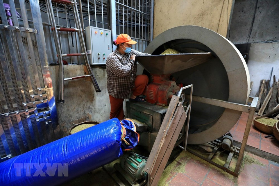 创先生家庭是目前仍保留扁糯生产业的少数家庭之一。越通社记者 诚达 摄