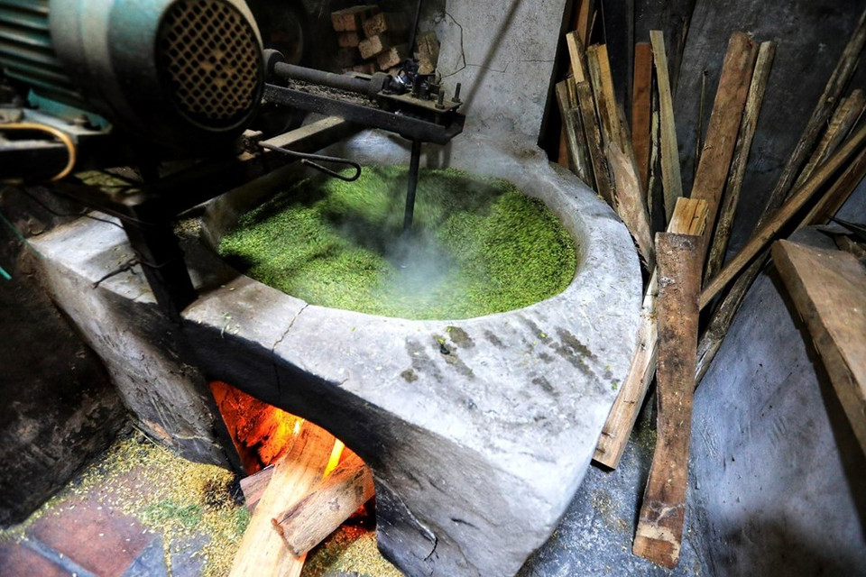 望村扁糯分为罗望子叶扁糯、木扁糯、嫩扁糯等多种。越通社记者 诚达 摄