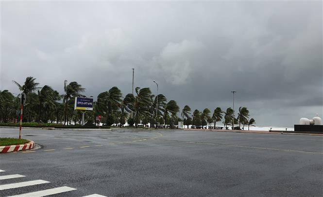 受第九号台风的影响，岘港市海域出现3到5米巨浪。越通社记者 文勇 摄