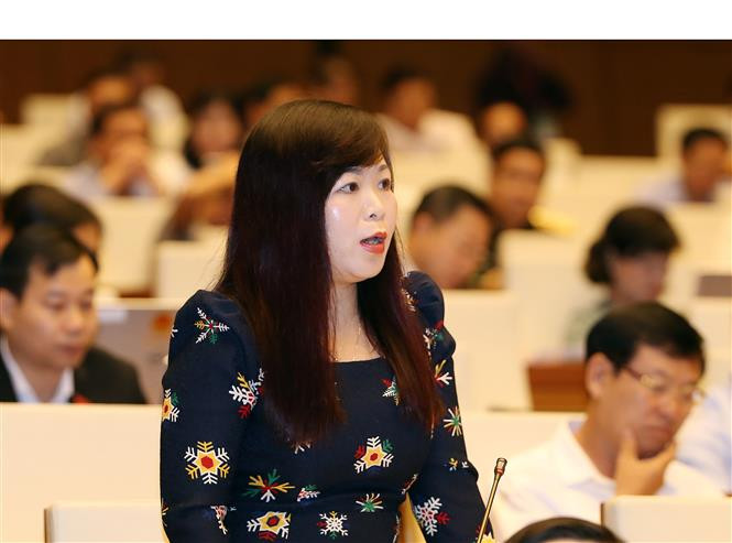 河内市国会代表武氏刘梅在会上发言。（图片来源：越通社）