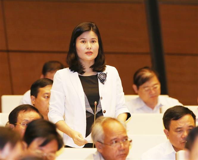 河静省国会代表裴氏琼诗在会上发言。（图片来源：越通社）