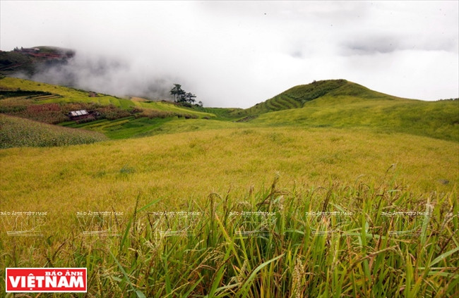距达索14公里的辛旺乡中心是北安县最大梯田。越南画报记者 仲正 摄