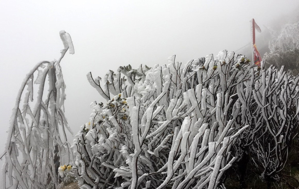 老节省沙巴县气温突然下降 部分地区出现霜冻天气。越通社记者 国庆 摄