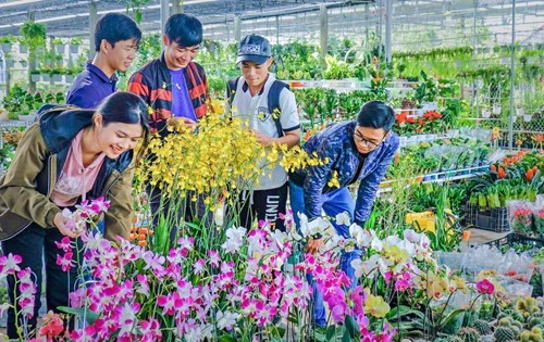 参观花村的游客（图片来源：越南《人民军队报》）