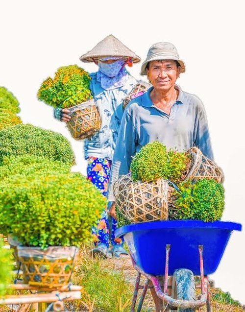 男人和女人都善于养护花卉（图片来源：越南《人民军队报》）