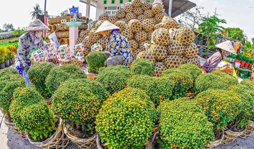 花卉的包装工作（图片来源：越南《人民军队报》）