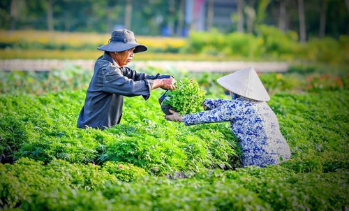 男人和女人都善于养护花卉（图片来源：越南《人民军队报》）