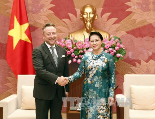 国会主席阮氏金银（右）会见捷克新任驻越南大使维捷斯拉夫•格雷普尔。（图片来源：越通社）