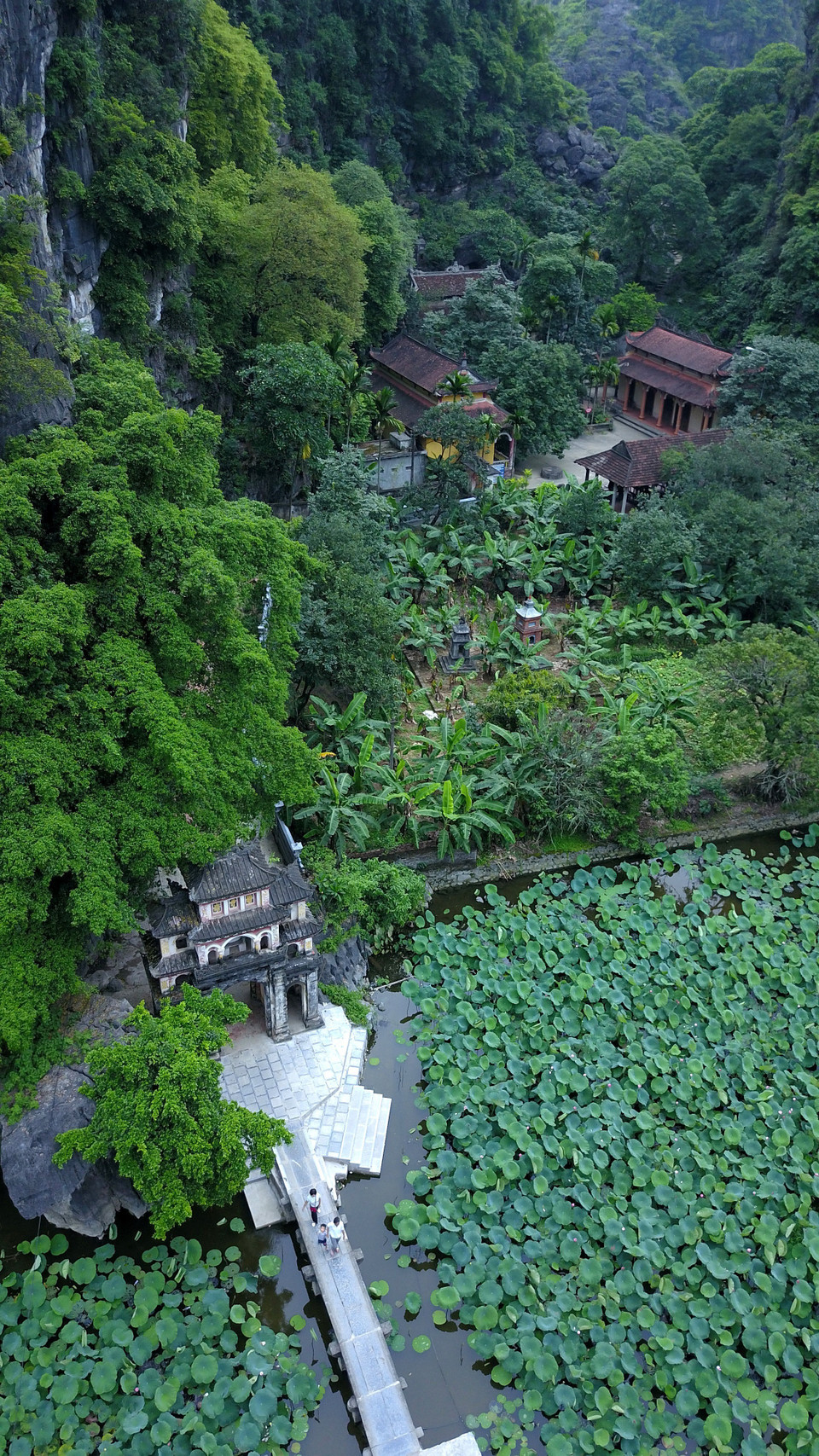  宁静的千年岩石山、古老的寺庙以及山脚下柔和的莲池使得碧洞美得如诗如画。越通社记者明德 摄