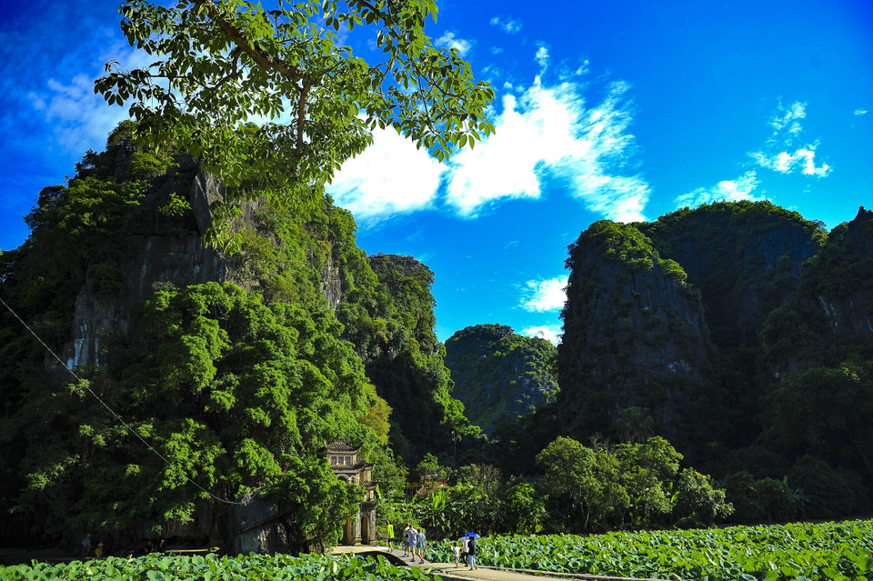  宁静的千年岩石山、古老的寺庙以及山脚下柔和的莲池使得碧洞美得如诗如画。越通社记者明德 摄