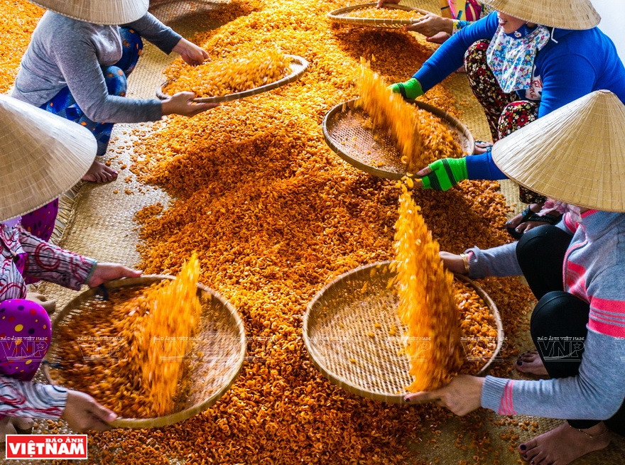 金瓯虾农加工干虾。图片来源：越通社/越南画报