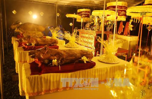 2017年顺化社稷祭礼隆重举行（图片来源：越通社）